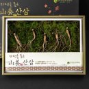 뿌리 - 안동시 번영길 27 | 뿌리