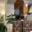 설고당 | 군산 설고당 카스테라 맛집 후기 부드러움 끝판왕 주차정보