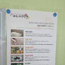 제주기정떡 | [제주/애월] 제주기정떡 : 제주여행 기념품 간식 추천 내돈내산