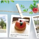 용석농장 강원도민일보