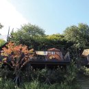 초안산 유아숲체험장 이미지