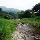 해바라기애견펜션