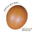 좋은계란 - 군산시 서수송안1길 12-1 | 좋은계란