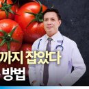 토마토 건강하게 먹는 방법, 토마토가 보약보다 더 좋은이유 | 건강데스크 이미지