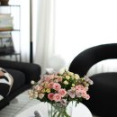 승승농장 이미지