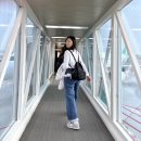 단디프렌치 | [APR to MAY.2025] 행궁동, 콜드플레이 콘서트, 대구 여행, 프렌치토스트 맛집, AAW, 제주 여행