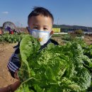 세진농장 이미지