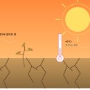 122년 만에 깨진 ‘42도 벽’…한반도 남부 폭염과 가뭄이 만든 기후 재난 이미지