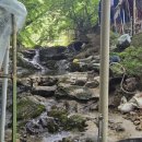 GS25동탄IT점 | 동탄 근처 계곡 취사가능 하뫼울 금어리계곡 평상 예약 후기