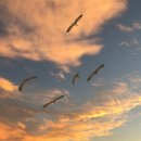 원화로1(동) 이미지