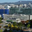 수원시 팔달구 창룡대로210번길 이미지