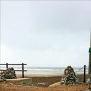 하얀파도 이미지