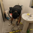 칸피시방 이미지