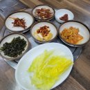 백률 이미지