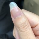 네일인더블루