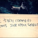 하나문구 Daum카페