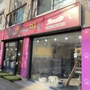 고양이무마취미용 고무미 이미지