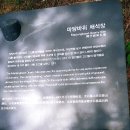 달콤한꿈을꾸는베리농장 이미지