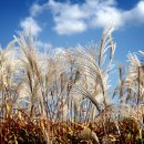 석양이 예쁜집 이미지