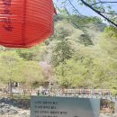 논산시 관광안내소 | [푸릇푸릇한 공주 마곡사의 4월] 오층석탑, 대웅전, 주차장 요금 등 여행정보