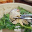 가위든개 | 대전 오씨칼국수 도룡점 내돈내산 후기와 주차 팁 (웨이팅 및 포장 포함)