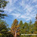 명랑핫도그 부산시청점 이미지