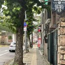 올레쭈꾸미 이미지