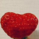 과일킹 | 과일킹 신선과일