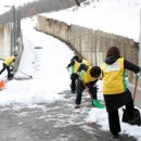 론볼경기장 이미지