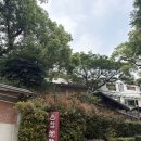 부모곡 | 대만 여행 가볼 만한 곳 베이터우 지열곡 아이와 방문 후기 (가는 방법)
