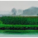 풍경을 그리는 유화 이미지