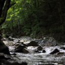 지장산 계곡 아래 이미지