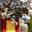 서산시청 이미지