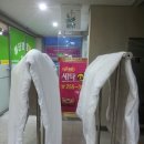 목화세탁소 이미지