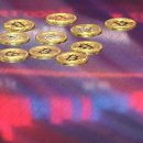 초석제1농장 이미지