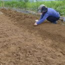 광성농장 이미지