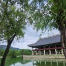 선비태권도장 이미지