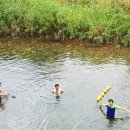 원동포시즌 이미지