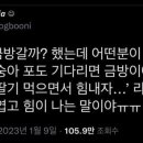 초록의파랑 이미지