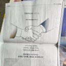 법무법인트리니티