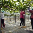 도순농장 이미지