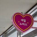 네일 노티스 | 가산네일 네일노티스 계절 안 타는 핑크 자석젤 후기