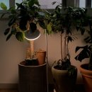 연세로뎀정신건강의학과의원 이미지