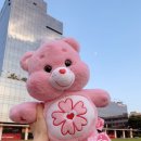 북문놀이터 이미지