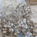 대량경로당 이미지