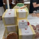 베즐리 디큐브점