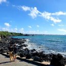 힐링올레 이미지