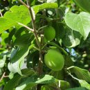 하늘오두막 이미지