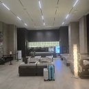 호토모토 | 대구 도시락 추천, 쿠벤 도시락 대구수성점 솔직후기