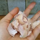 농업회사법인 피그말리온허브(주) 이미지